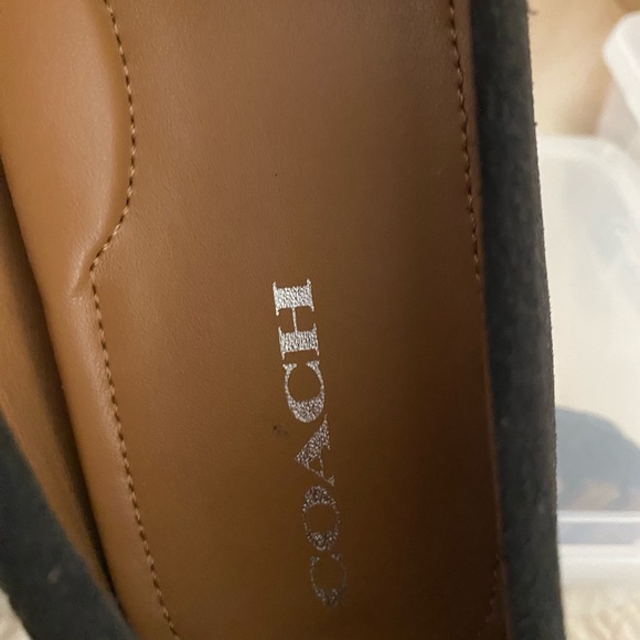 Coach Drivers - Picture 4 of 7